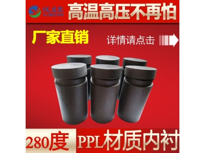 PPL内衬（对位聚苯）